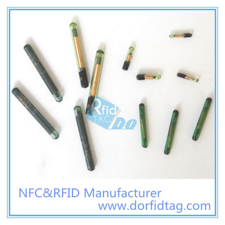 RFID Glass tag for animal managment